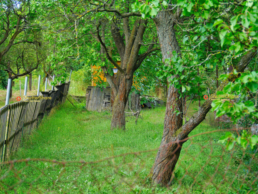 Rustic Garden with Fruit Trees