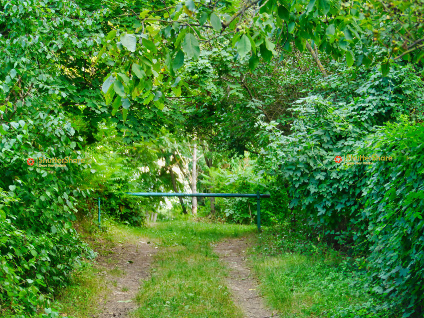 Overgrown Path with Metal Barrier