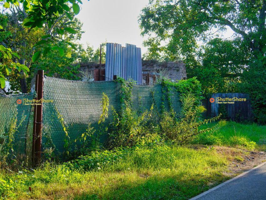 Overgrown Fence with Abandoned Building